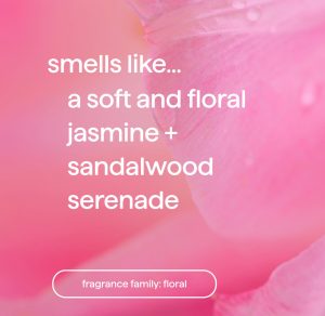 dream foam foaming body wash 3-ct bundle. 40.5 oz