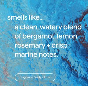 gel hand wash refill – sea minerals. 34 fl oz 1