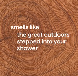 body wash – cedar + cypress. 18 fl oz