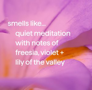 body wash – quiet meditation. 18 fl oz