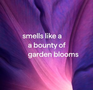 foaming hand wash refill – violet + lavender. 28 fl oz