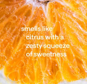 dish soap – clementine. 18 fl oz