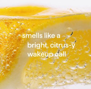 squirt + mop hard floor cleaner – lemon ginger. 25 fl oz