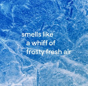 antibacterial bathroom cleaner – spearmint. 28 fl oz