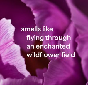 antibacterial all-purpose cleaner – wildflower. 28 fl oz