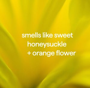 foaming hand wash refill – ylang ylang + hyacinth. 28 fl oz