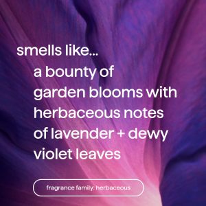 premium soy candle – violet + lavender. 14 oz