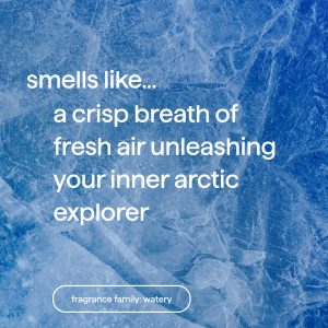 body lotion – glacier + granite. 14 fl oz