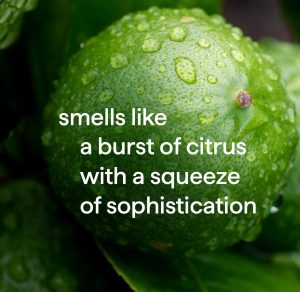 2-in-1 shampoo + conditioner – bergamot + lime. 14 fl oz